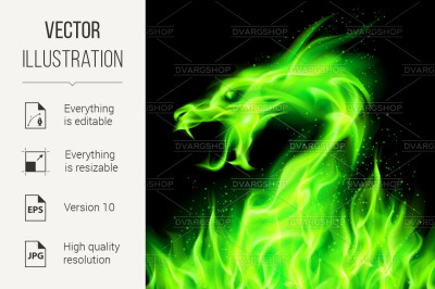 Fire dragon.