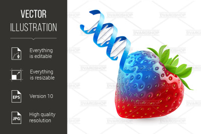 Strawberry with GMO