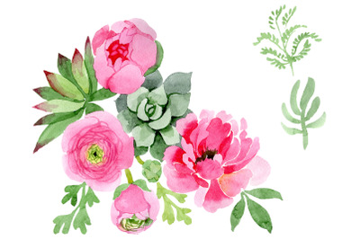 Flowers ranunculus watercolor png