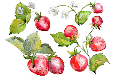 Juicy strawberry watercolor png