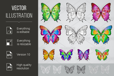 Set of different colored butterflies