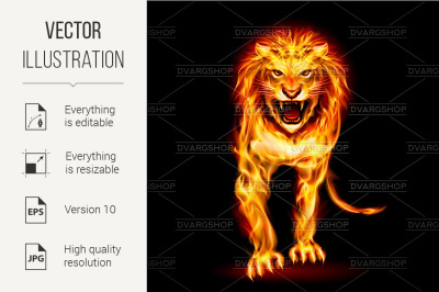 Fire lion