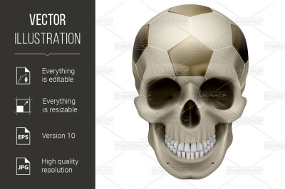 Human Skull