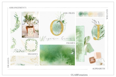 Olive Organic Green. Watercolor Clipart