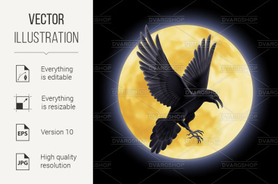 Black raven