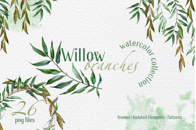 Willow branches Watercolor png