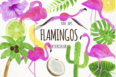 Watercolor Flamingos Clipart, Flamingo Clip Art