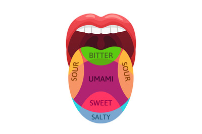 Human tongue taste zones. Sweet, bitter and salty tastes receptors. Ta