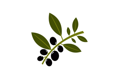 Olives icon