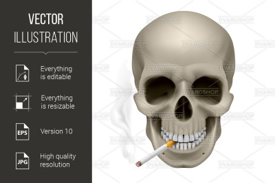 Human Skull