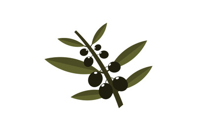 Olives icon