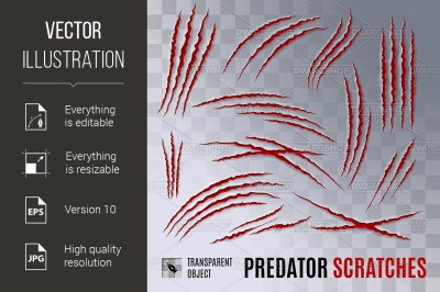 Predator Scratches