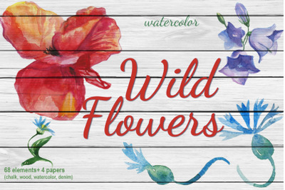 Watercolor Wild Flowers Clip art