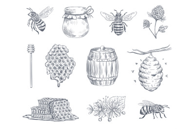 Bee engraving. Honey bees, beekeeping farm and honeyed honeycomb vinta