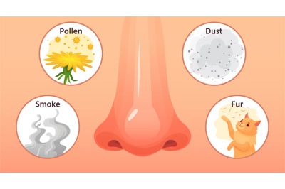 Allergic sickness. Red nose, allergy illnesses symptoms and allergens.