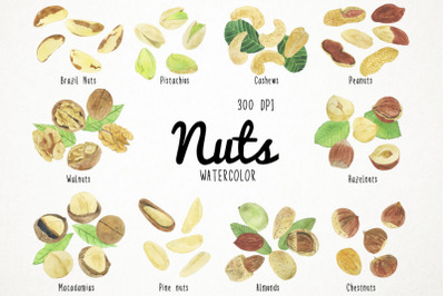 Watercolor Nuts Clipart, Nuts Clip Art