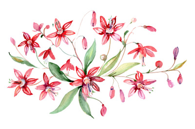 Bouquet red Alley of Glory watercolor png