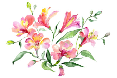 Bouquet red world of good watercolor png