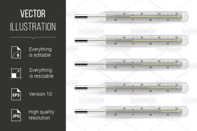 Mercury Thermometer