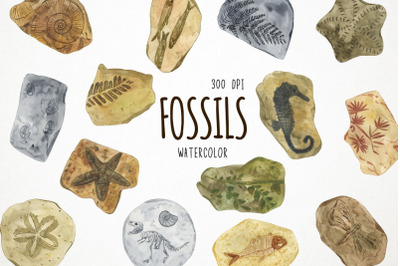 Watercolor Fossils Clipart, Fossils Clip Art