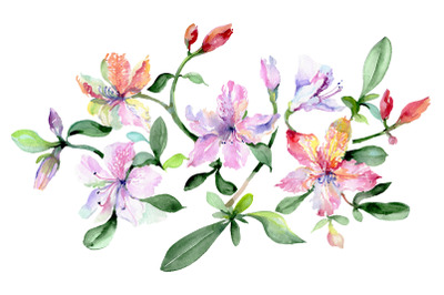 Bouquet Breath of love watercolor png