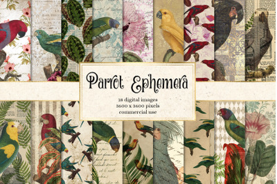 Parrot Ephemera Digital Paper