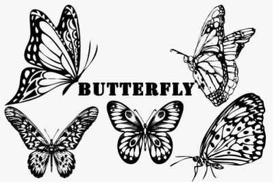 Hand drawn illustrations of butterflies