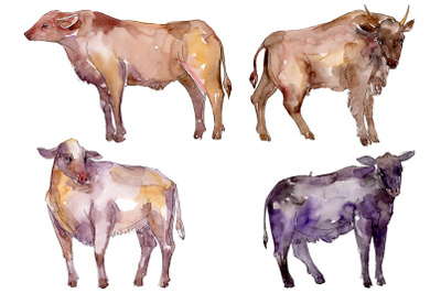 Farm animals: bull Watercolor png