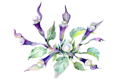 Bouquet Melody of the piano Watercolor png