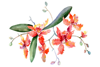 Bouquet Kaleidoscope watercolor png