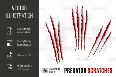 Predator Scratches