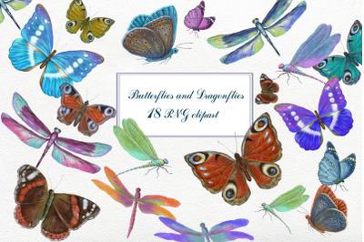 Butterfly  Clipart . 18 PNG collection of butterflies and dragonflies