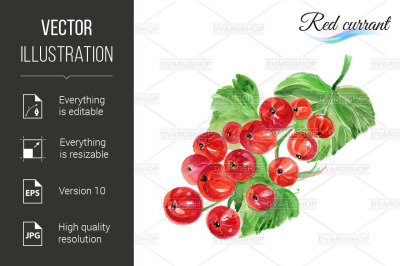Watercolor red currant