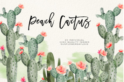 Succulent Peach Watercolor Cliparts&2C; Cactus Flower Clipart