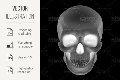 Human Skull