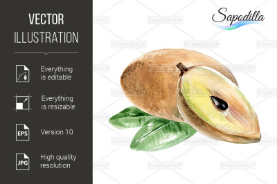 Sapodilla