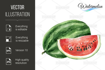 Watercolor watermelon