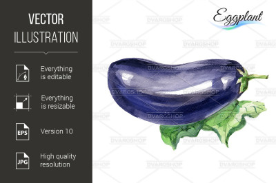 Watercolor eggplant