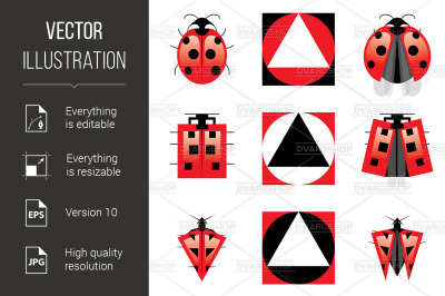 Conceptual Evolution of Ladybug