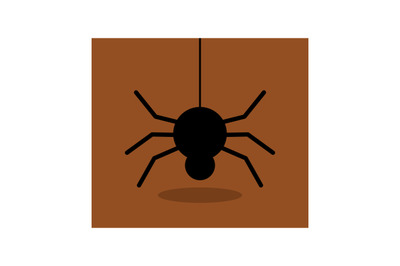 Spider icon