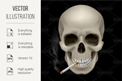 Human Skull