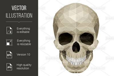 Mosaic skull