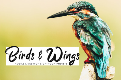 Birds &amp; Wings Mobile &amp; Desktop Lightroom Presets