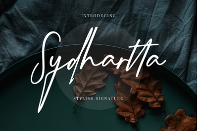 Sydhartta Stylish Signature