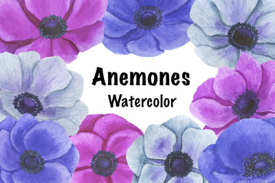 Anemones watercolor.  Anemones pattern. Anemones frames.