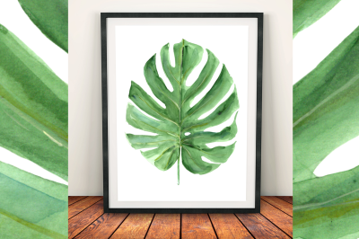 Watercolor Monstera Leaf Clip Art and Print
