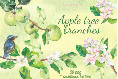 Watercolor Apple tree branches clip art