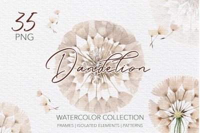 Summer dandelion collection watercolor png