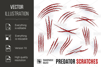 Predator Scratches