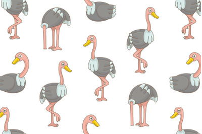 Set of Ostrichs + Pattern